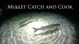 Thumbnail: MULLET CATCH AND COOK! | HAWAII