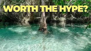 Thumbnail: Paddling King's Landing Florida: Is the Emerald Cut Worth It?