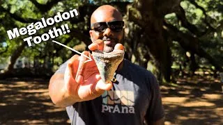 Thumbnail: Fossil Hunting in South Carolina's LOWCOUNTRY!