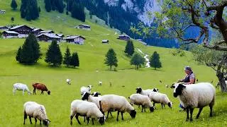 Thumbnail: Paradise in Switzerland on a Rainy Day - Beautiful Harvest Day & Simple Rural Living
