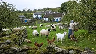 Thumbnail: Peaceful Country Life in England – Harvesting, Cooking and Simple Farm Life