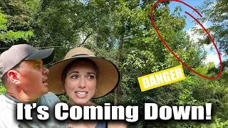 Thumbnail: Doug Takes Over Again… And Things Don’t Go As Planned 😳