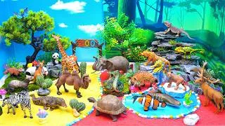 Thumbnail: Zoo Safari & Ocean Animals for Kids | 🌿 Explore Colorful Animal Habitats