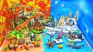 Thumbnail: Explore 4 Animal Worlds for Kids | 🌊 Dinosaurs, Ocean & Polar Animals Diorama