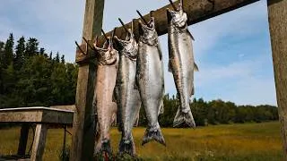 Thumbnail: Alaskan Coho Salmon on the Bobber! | AK Trip (Part 3)