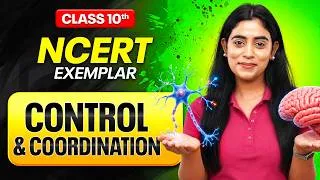 Thumbnail: Control & Coordination Complete Revision | NCERT Exemplar | Class 10th