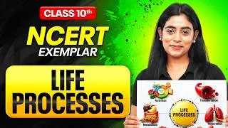 Thumbnail: LIFE PROCESSES Complete Revision | NCERT Exemplar | Class 10th