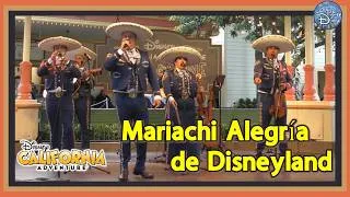 Thumbnail: Mariachi Alegría de Disneyland at Paradise Garden Stage | DCA Food & Wine 2026