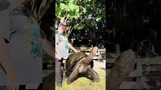 Thumbnail: Dad Ryan and his son, Garrett, share a moment visiting 109-year-old giant tortoise & amazing iguanas