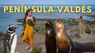 Thumbnail: PENINSULA VALDES Travel Guide: Argentina’s Best WILDLIFE Destination?