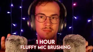 Thumbnail: ASMR | 1 HOUR - SENSITIVE Fluffy Microphone Brushing