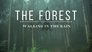 Thumbnail: The Forest | Walking in the rain
