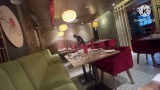 Thumbnail: 🍜 Jinsoy Restaurant Review | Honest Food Review | Taste, Price & Ambience | Khana Aur Safar
