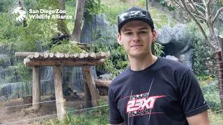 Thumbnail: 23XI Drivers at the World-Famous San Diego Zoo | Road to NASCAR San Diego Weekend
