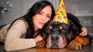 Thumbnail: REGRESÉ!!! 😱 El Último Cumpleaños De Karim? 😢🐶 Sandra Cires Art