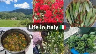 Thumbnail: Slow Living In The Countryside| Farm Harvest And Cooking Organic Vegetable Soup 