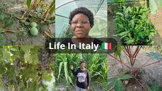 Thumbnail: Slow Living In The Countryside Farm Tour And Harvesting Vegetables 