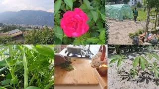Thumbnail: Simple & Slow Living Farming In The Italian Countryside | Rural Life Vlog 