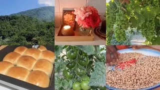 Thumbnail: Slower Pace | Silent Vlog | Garden, Baking & Cooking Countryside Life 