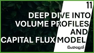 Thumbnail: 11. Volume Profiles and Capital Flux Model - Order Flow Series Sinhala