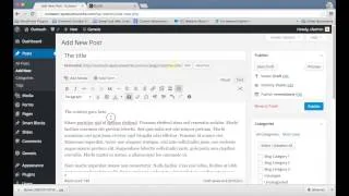 Thumbnail: How to Add a New Post to a WordPress Website Blog