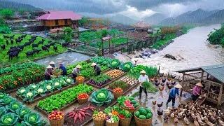 Thumbnail: WE BRAVED THE RAIN TO RESCUE 400 ANIMALS! 😱 Then we harvested A HUGE HARVEST to sell at the market