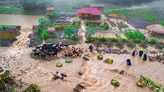 Thumbnail: We Left Our Farm for the Market… Hours Later, Everything Was Underwater! 😱🌧️