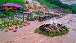 Thumbnail: Farm Disaster in the Flood! 🌧️ Harvesting Crops, Selling at the Market & Cooking to Survive