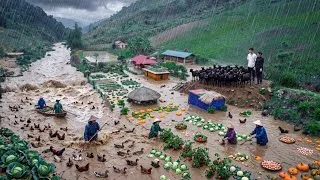 Thumbnail: THE FARM WAS GONE! Starting From ZERO, We Harvested and Sold Everything to Survive