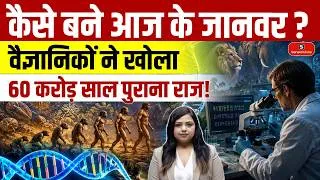 Thumbnail: Scientists Unlock 600 Million-Year-Old Secret in Animal DNA | Evolution’s Hidden Highways