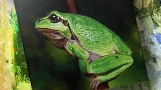 Thumbnail: Oil Painting Time-lapse │Mediterranean Green Tree Frog