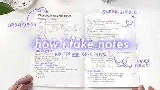Thumbnail: simple and aesthetic notes ♡ // my note-taking process ~