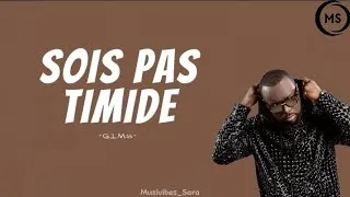 Thumbnail: GIMS  -  Sois pas timide  ( paroles par Musivibes )