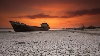 Thumbnail: The sea suddenly dried up and hungry animals emerged (Survive 2024 Movie Explained in English