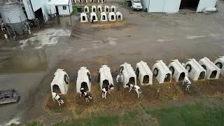 Thumbnail: Practical Tips for Beginning Farmers: Navigate Multigenerational Farming with Communication
