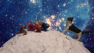 Thumbnail: Cat Boss the First (tribute)