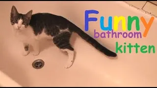Thumbnail: My funny kitten in the bathroom