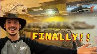 Thumbnail: FEEDING TIME!