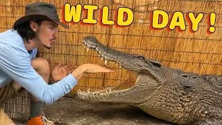 Thumbnail: NEW POND ADDITION!!! 