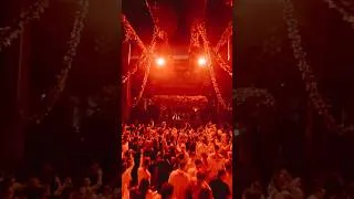 Thumbnail: Saturday night GENESI. #Savaya #Bali