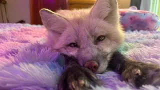 Thumbnail: We love you Nimbus 