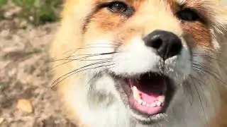 Thumbnail: A happy Fiona and Aurora update! 