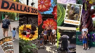 Thumbnail: FAMILY ZOO DAY VLOG 🦒✨ *Dallas Zoo*