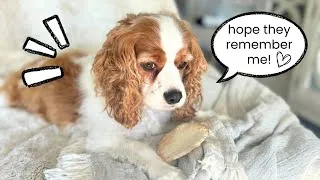 Thumbnail: WHAT IN THE WORLD HAS HE BEEN UP TO?!