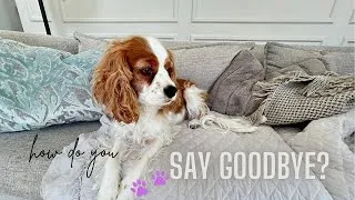Thumbnail: Sometimes You Have to Say GOODBYE...