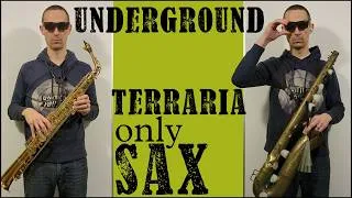 Thumbnail: Terraria Underground on sax - saxophone only (a saxappella)