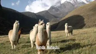 Thumbnail: Churay Churay - Ñanda Mañachi