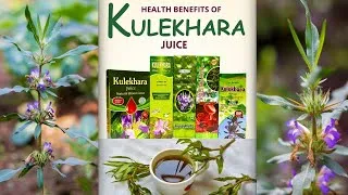 Thumbnail: Benefits Of Kulekhara Juice | Kulekhara Juice Khane Ke Fayde | Health Benefits Of Kulekhara #ayurved
