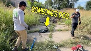 Thumbnail: In 16 YEARS of Mowing I've NEVER Found Something Like This