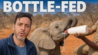 Thumbnail: Walking With Rhinos 30 Minutes From Lusaka 🇿🇲